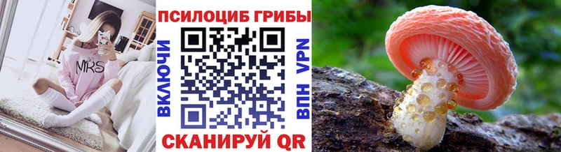 Псилоцибиновые грибы Cubensis  Купить где  Назрань 