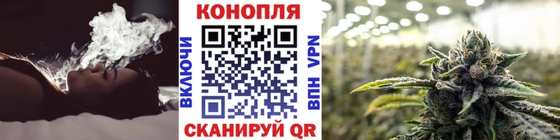 Конопля White Widow  Купить где  Назрань 
